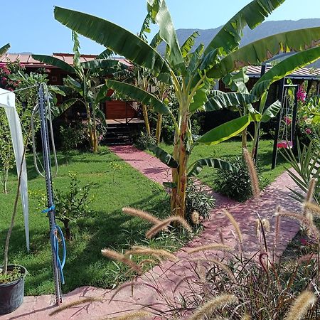 Arlin Bungalows Kemer Dış mekan fotoğraf