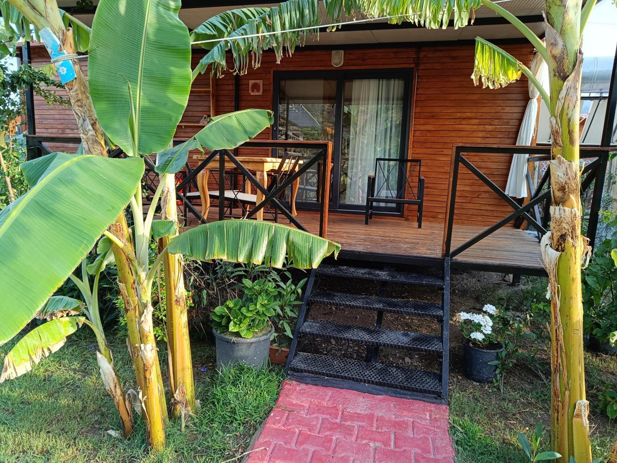 Arlin Bungalows Kemer Dış mekan fotoğraf
