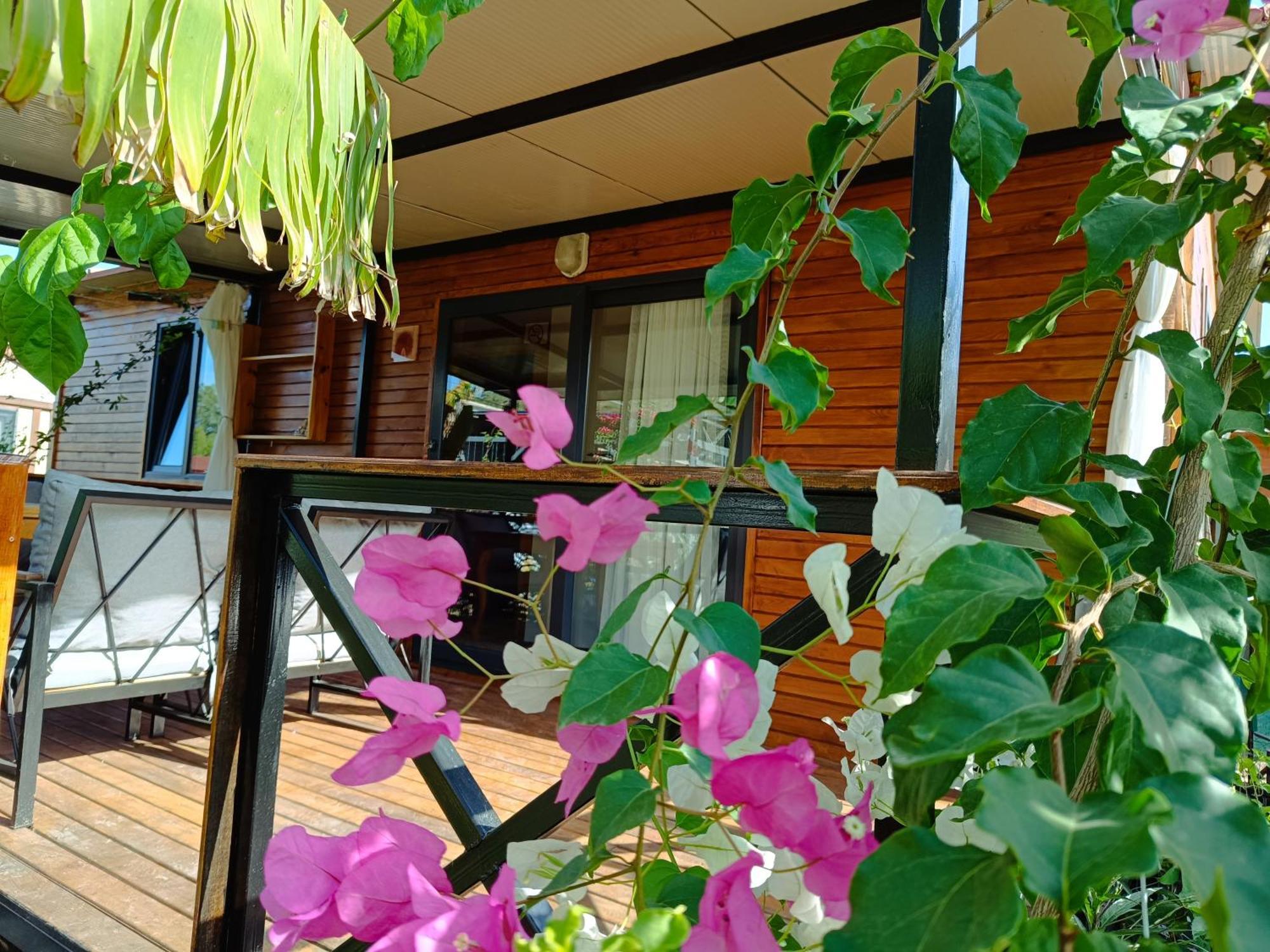 Arlin Bungalows Kemer Oda fotoğraf