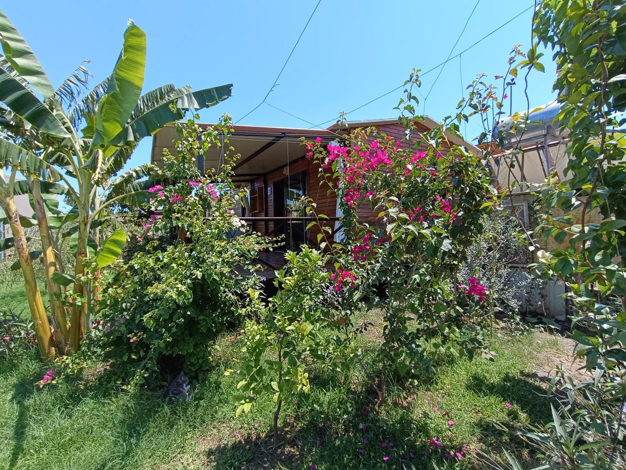 Arlin Bungalows Kemer Dış mekan fotoğraf