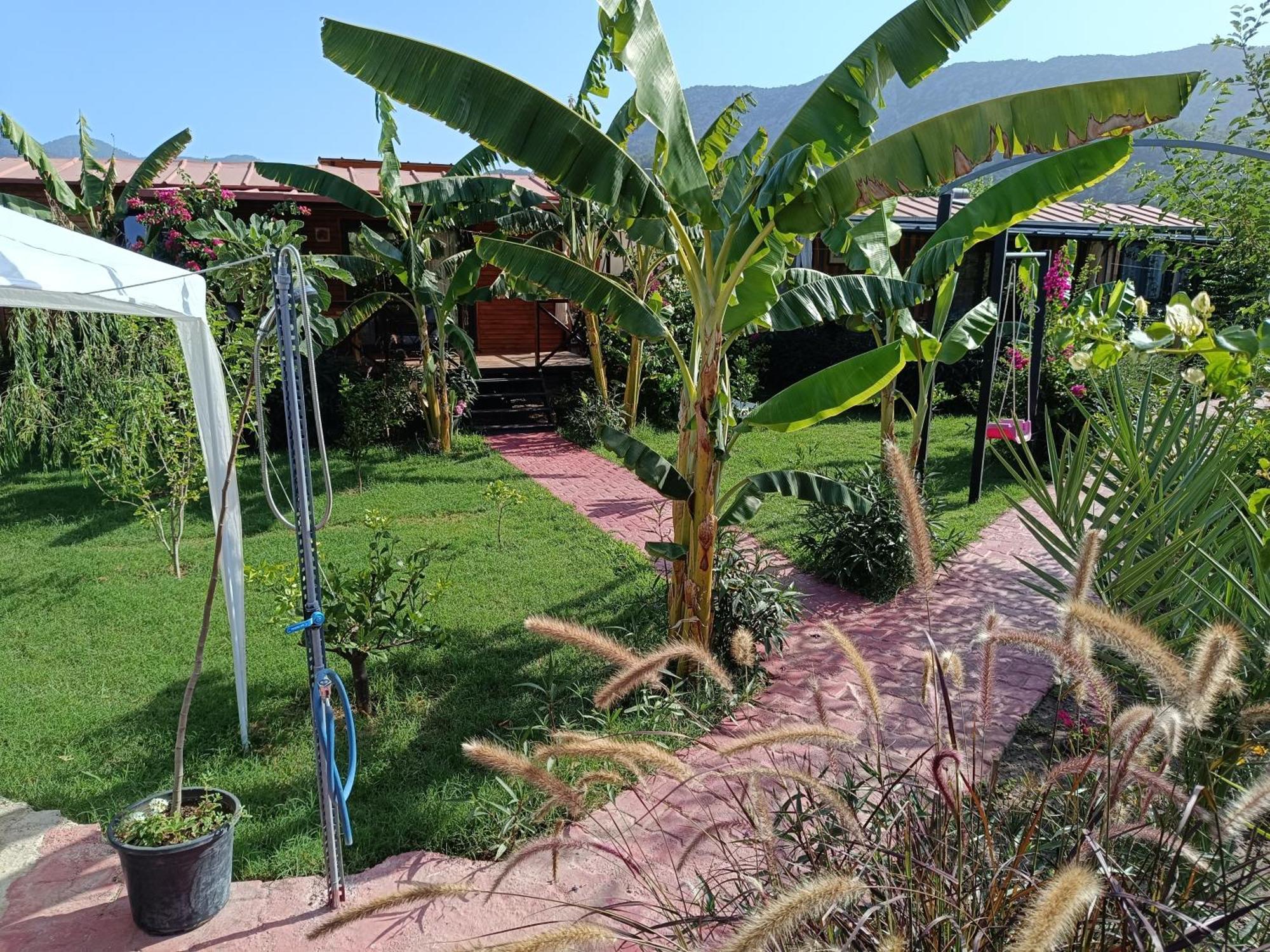Arlin Bungalows Kemer Dış mekan fotoğraf