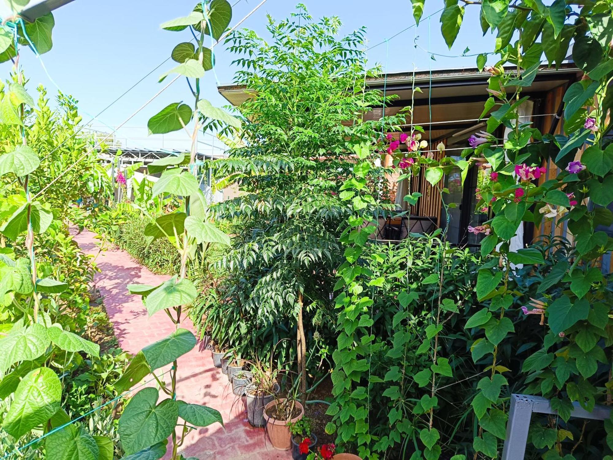 Arlin Bungalows Kemer Dış mekan fotoğraf