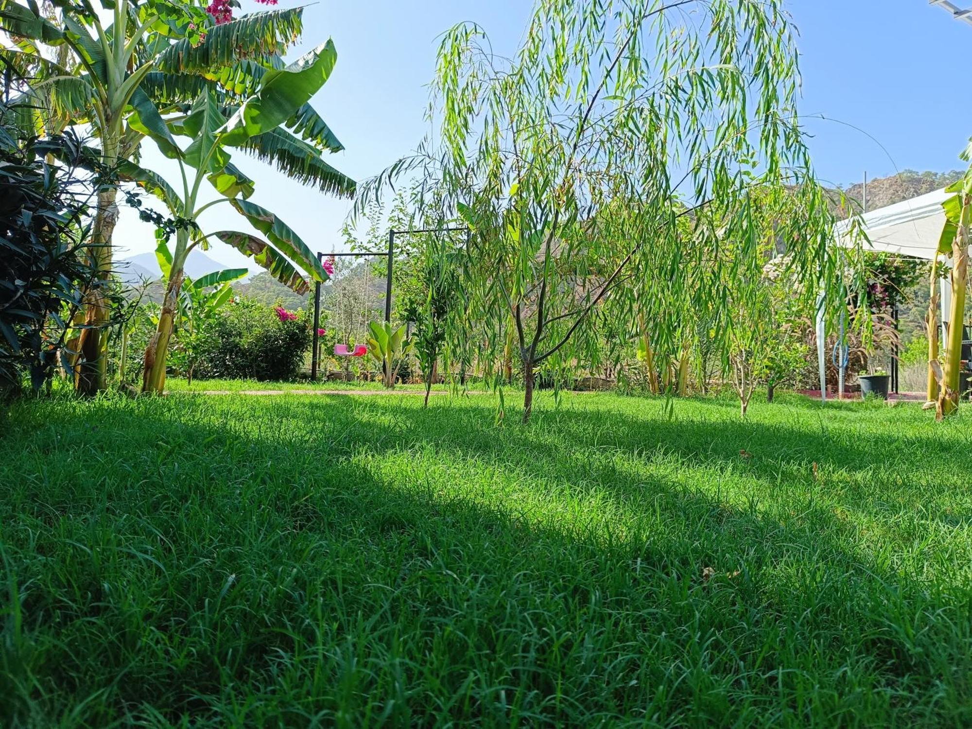 Arlin Bungalows Kemer Dış mekan fotoğraf
