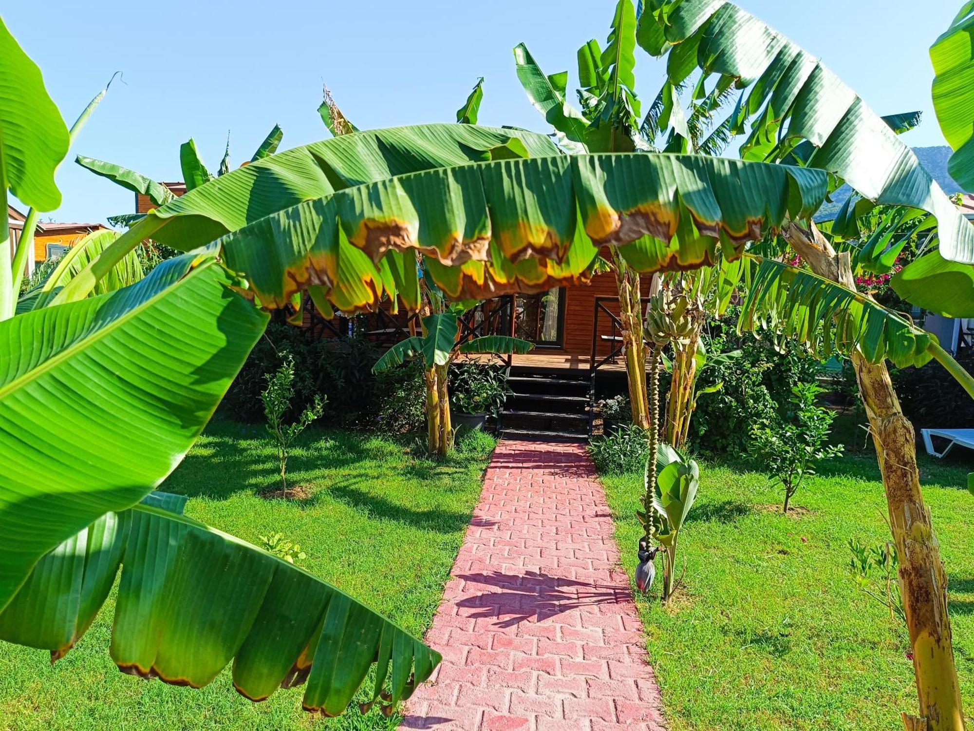 Arlin Bungalows Kemer Dış mekan fotoğraf