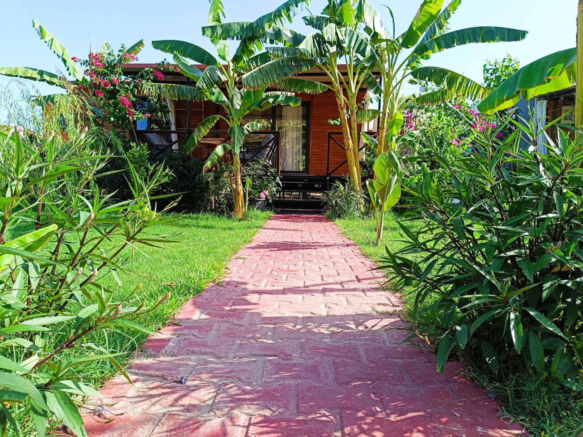 Arlin Bungalows Kemer Dış mekan fotoğraf